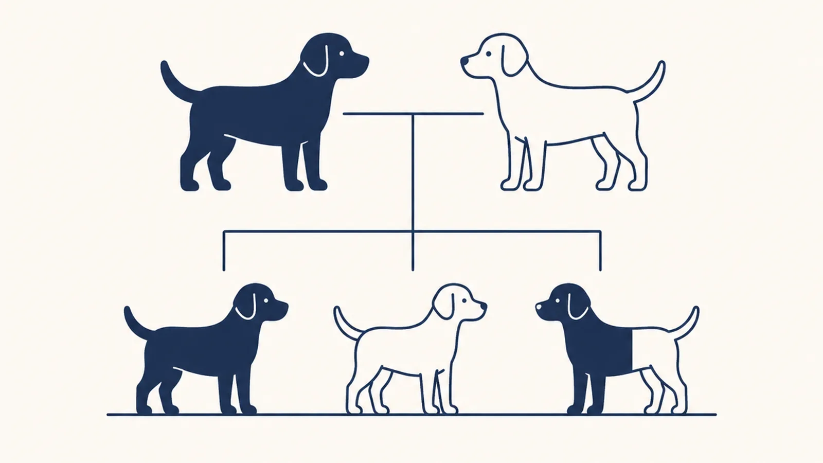 イラスト。上に並ぶ、体を塗りつぶした成犬と輪郭だけの成犬から細い線が下り、塗り方が1頭ずつ違う3頭の若い犬につながっている