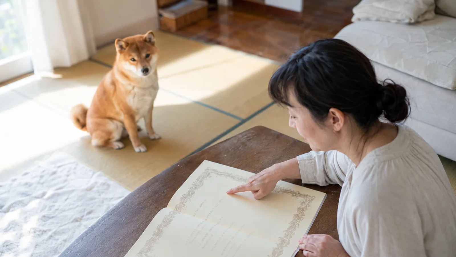 ちゃぶ台に広げた架空の証明書の1行を指さす女性と、畳に座る赤い柴犬