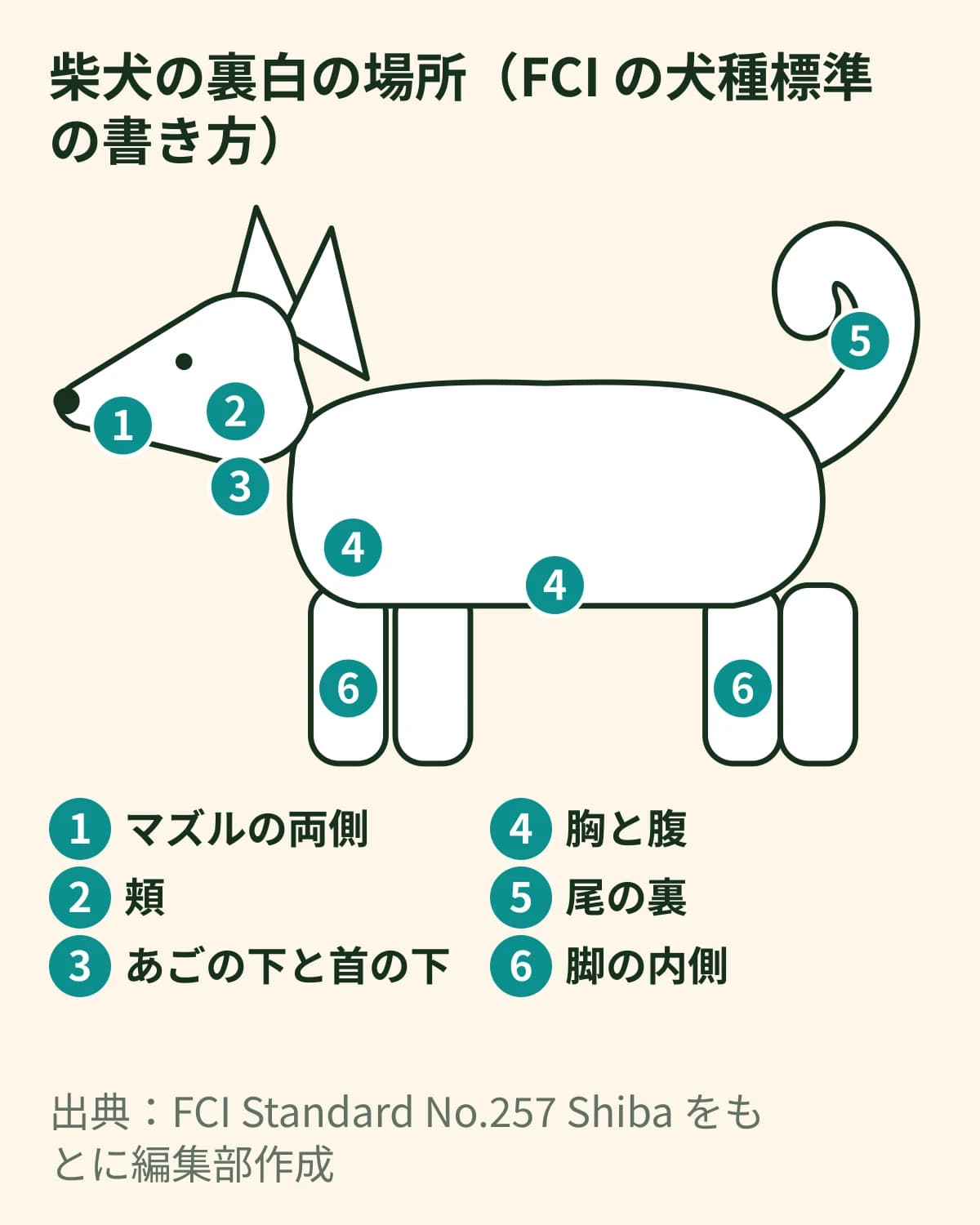 柴犬の横向きのシルエットに、裏白の場所を番号つきの線で指した模式図。マズルの両側、頬、あごの下と首の下、胸と腹、尾の裏、脚の内側の6か所
