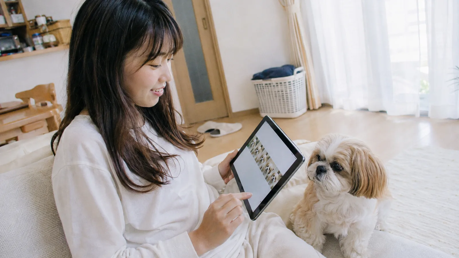 タブレットに並んだ犬の写真の記録画面を指さす女性と、隣に座る金と白のシー・ズー