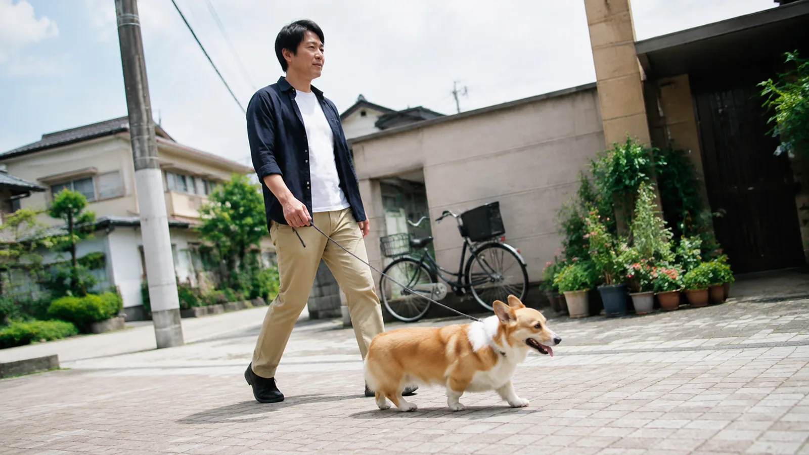 日なたの石畳の道を真横向きに歩く赤白のコーギー。胴が長く脚が短い体型がはっきり見える。隣をリードを持って歩く男性