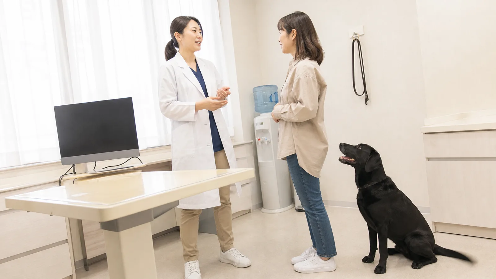 診察室で向かい合って穏やかに話す白衣の獣医師と女性。そばの床に黒いラブラドールが座っている