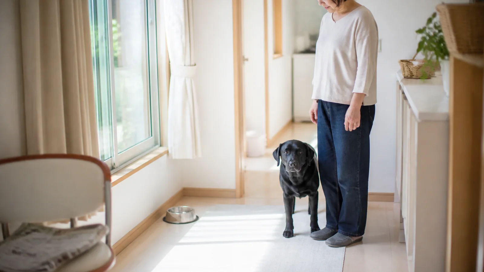 立っている女性のすぐ横に四本足で立つ黒いラブラドールレトリーバー。犬の背が女性の太もものあたりまである