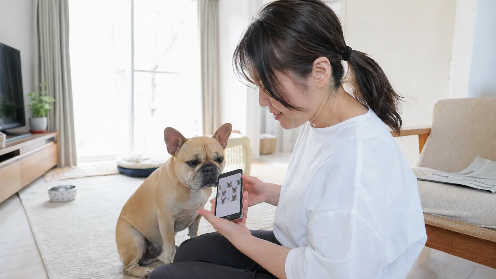 スマホの画面に並んだ犬の顔の写真を見ている女性と、隣に座るフォーンのフレンチブルドッグ