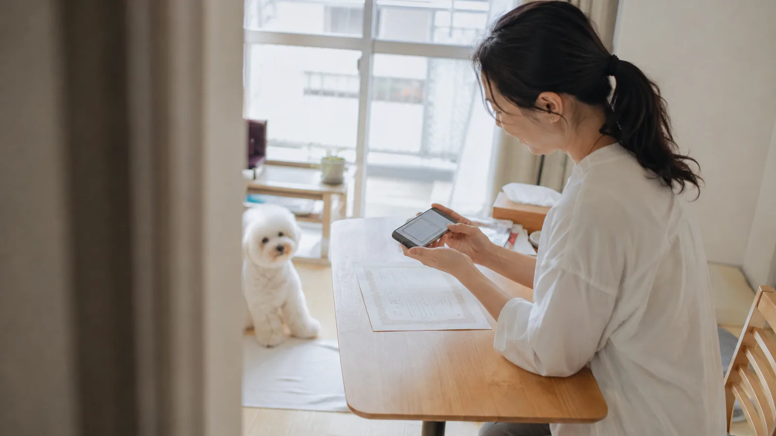 テーブルに広げた架空の血統書をスマートフォンで撮影する女性と、奥の窓辺に座る純白のビション・フリーゼ