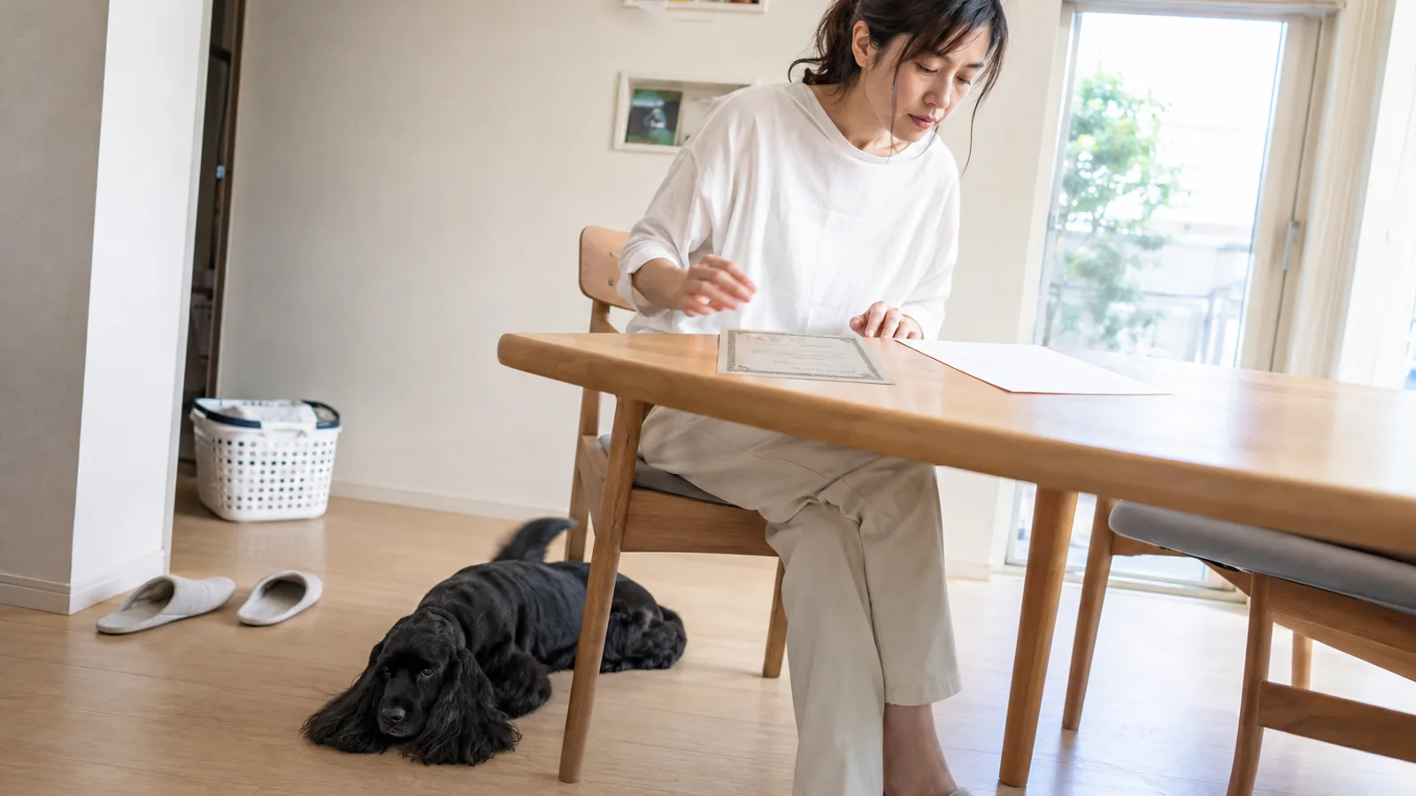 テーブルに並べた架空の血統書と無地の紙に目を落とす女性と、足元で伏せるブラックのアメリカン・コッカー・スパニエル