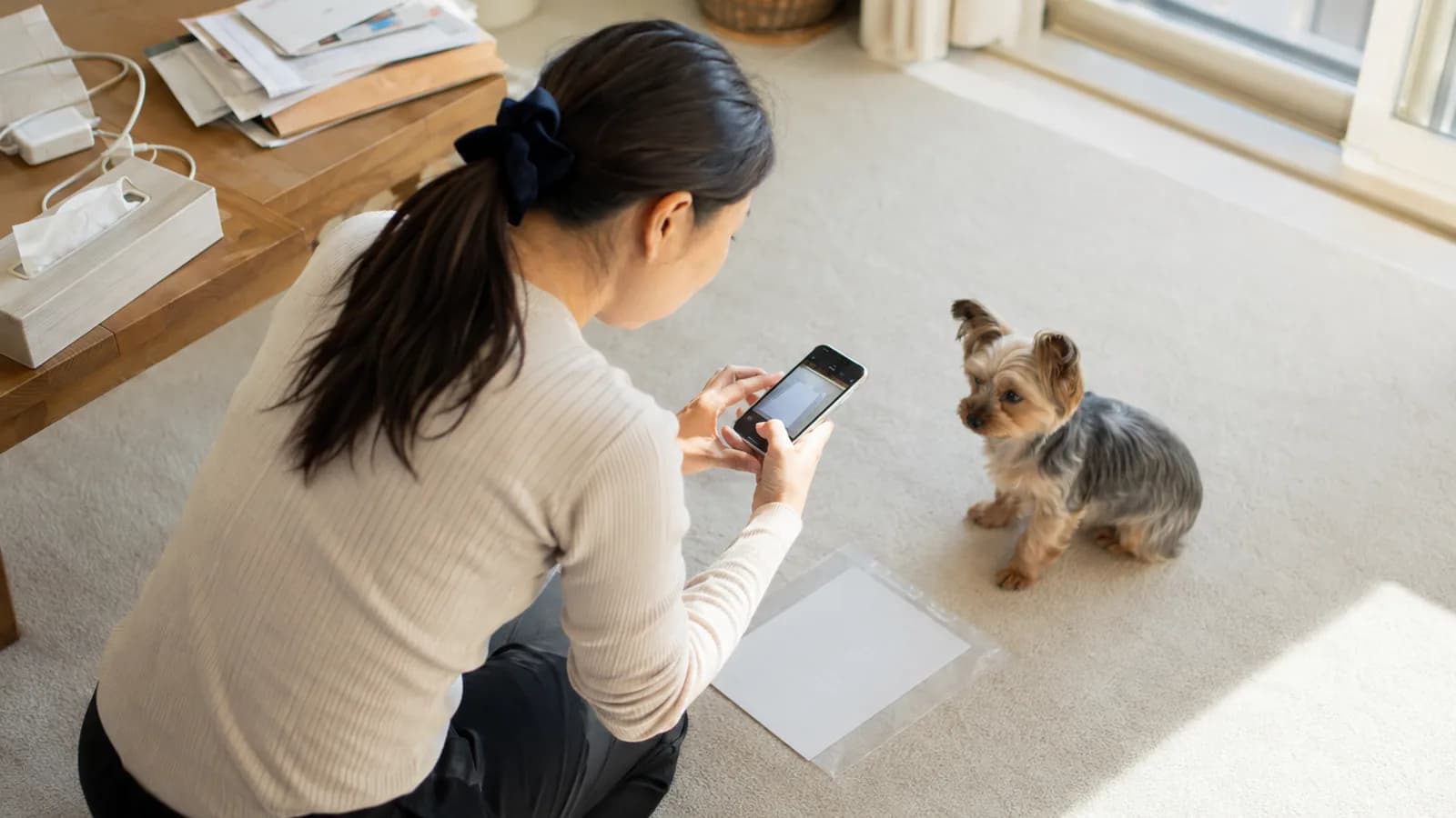 ラグに置いた無地の書類をスマートフォンで真上から撮影する女性と、そばに座る若いヨークシャー・テリア