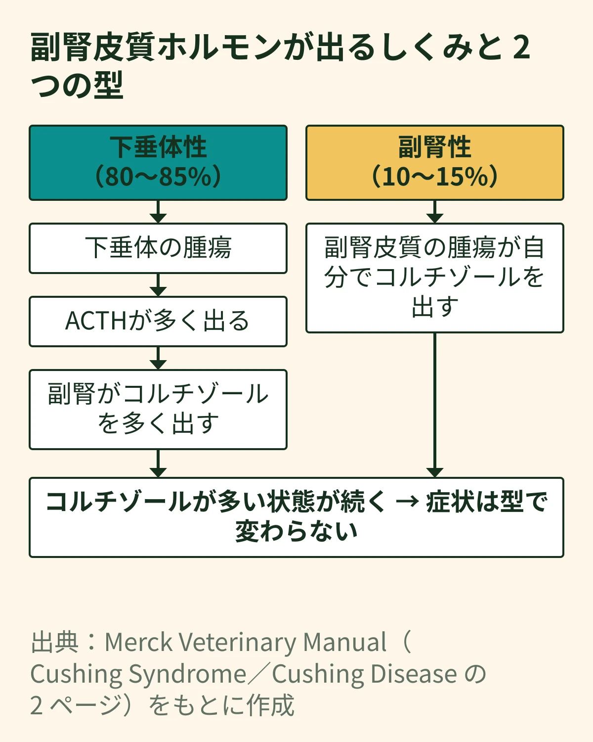 下垂体の腫瘍がACTHを多く出し副腎がコルチゾールを多く出す下垂体性が80〜85%、副腎の腫瘍が自らコルチゾールを出す副腎性が10〜15%と示す2つの型の図