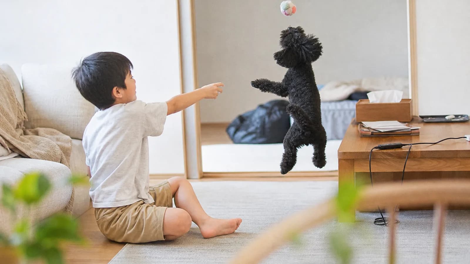 滑り止めマットの上で、男の子が投げたぬいぐるみのボールに飛びつく黒いトイプードル