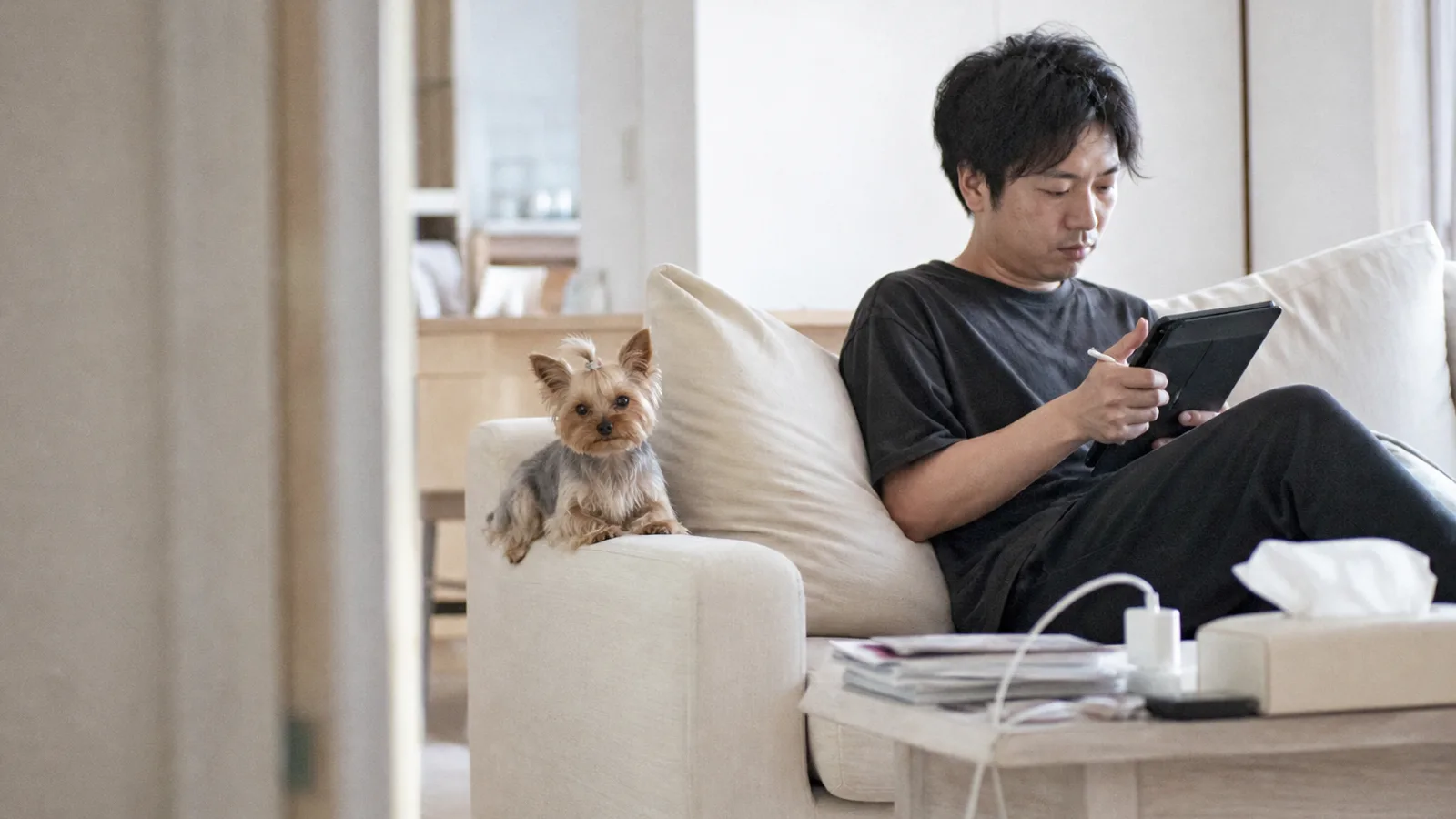 ソファの肘掛けにちょこんと乗るヨークシャーテリア。隣のクッションより小さい