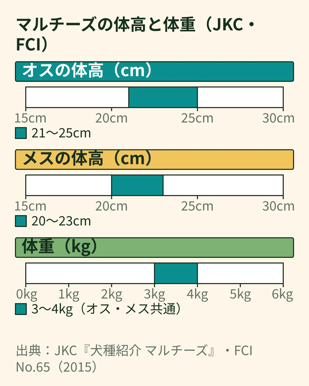マルチーズの標準の大きさを3本の物差しに描いた帯の図。体高はオス21〜25cm、メス20〜23cm、体重はオス・メスとも3〜4kg