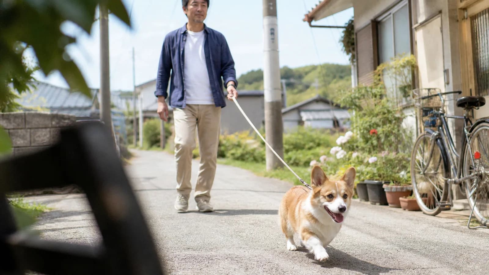 農道を短い脚で勢いよく小走りするコーギーと、後ろからゆっくり歩いてくる男性