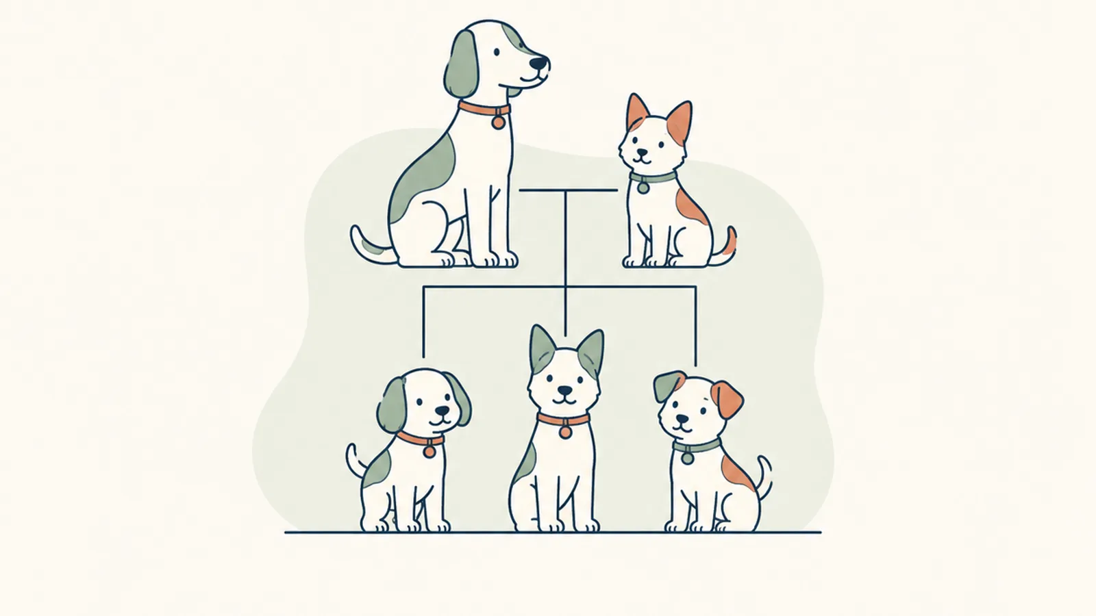イラスト。上に並ぶ、体が大きく耳の垂れた成犬と小さく耳の立った成犬から細い線が下り、耳の形と体つきの組み合わせが1頭ずつ違う3頭につながっている