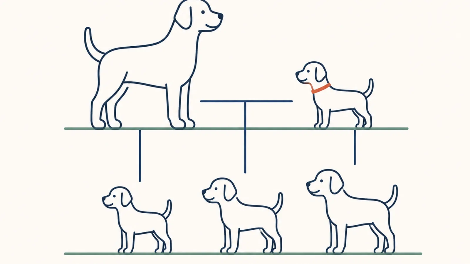 イラスト。上に並ぶ背の高い成犬と小さな成犬から細い線が下り、その2頭の高さのあいだに収まる大きさの3頭につながっている