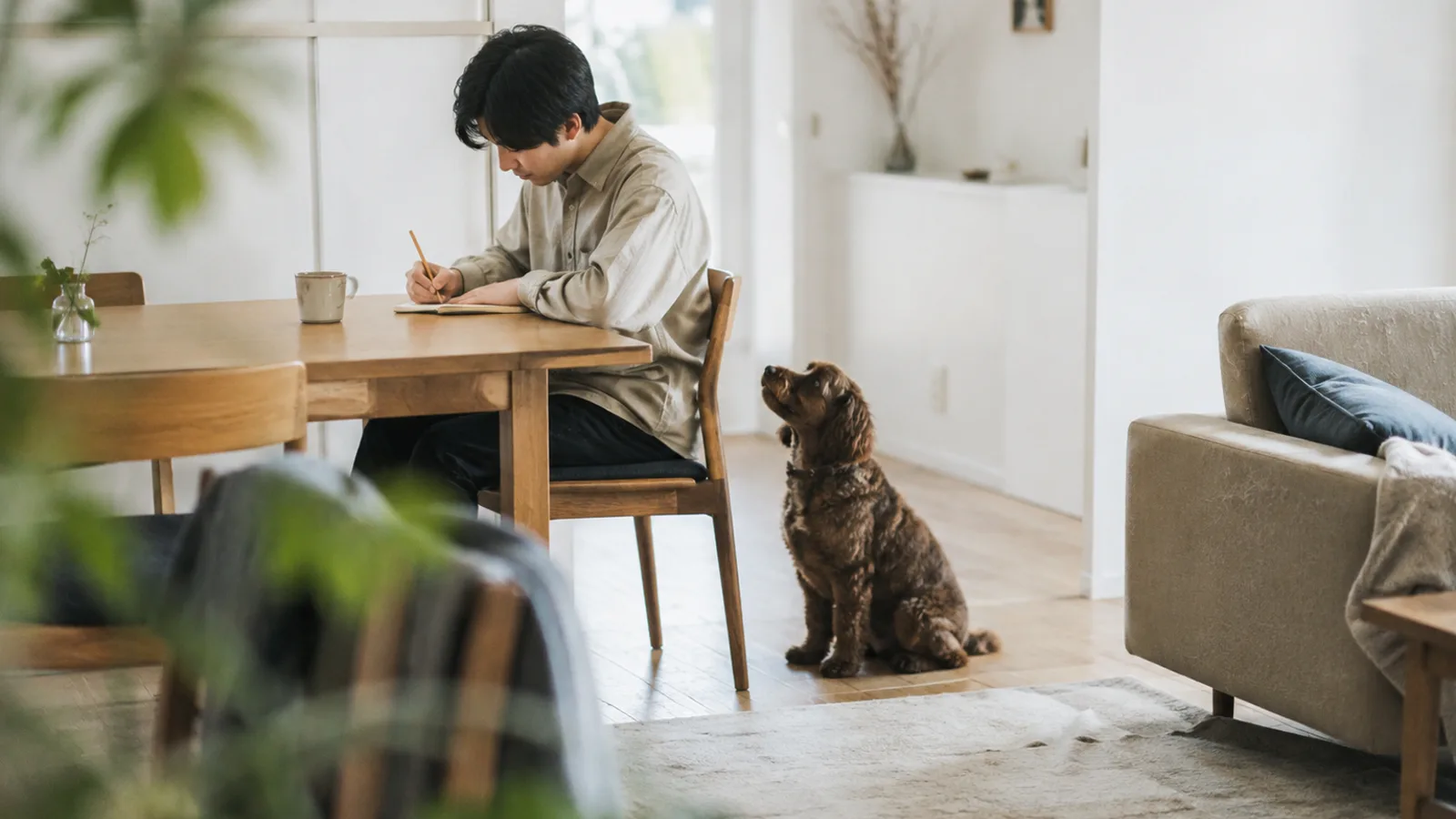 ダイニングテーブルのノートに鉛筆で書き込む男性と、足元で見上げるミックス犬
