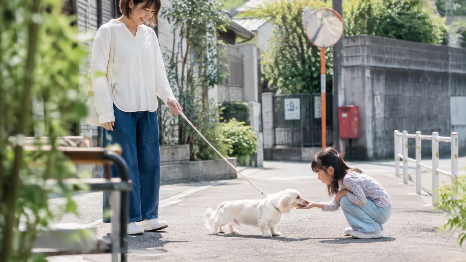 日なたの道で、しゃがんだ子どもの手のひらに鼻先を寄せるクリーム色で胴の長いマルックスと、リードを持つ女性