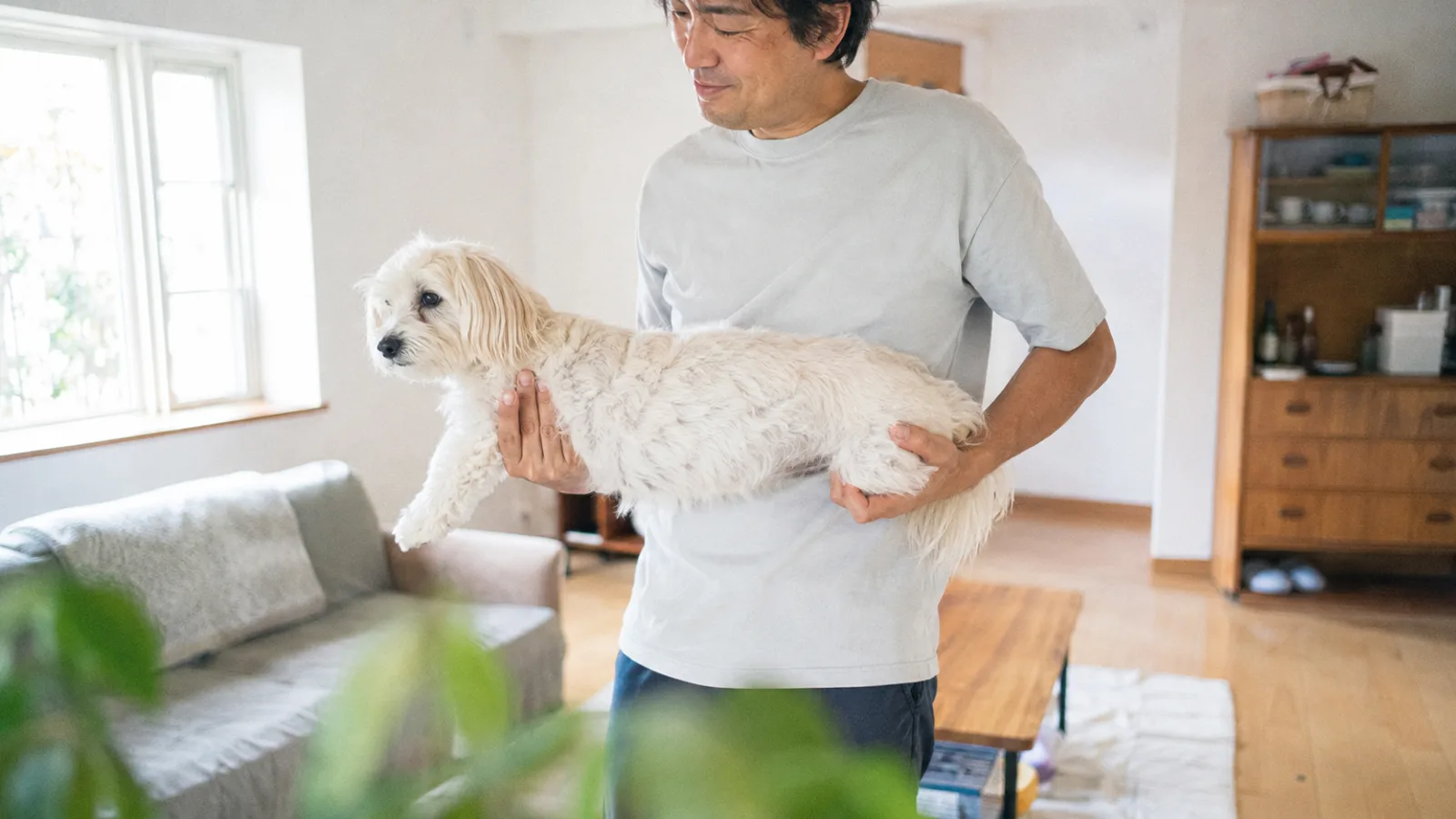 胴の長い白いマルックスを、胸とお尻を支えて背中がまっすぐになるように抱き上げる男性