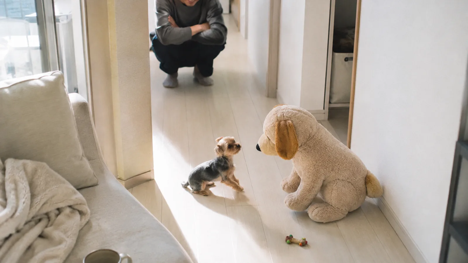 廊下で、自分より大きな犬のぬいぐるみの前に立って顔を上げる小さなヨーチーと、奥でしゃがんで見ている人