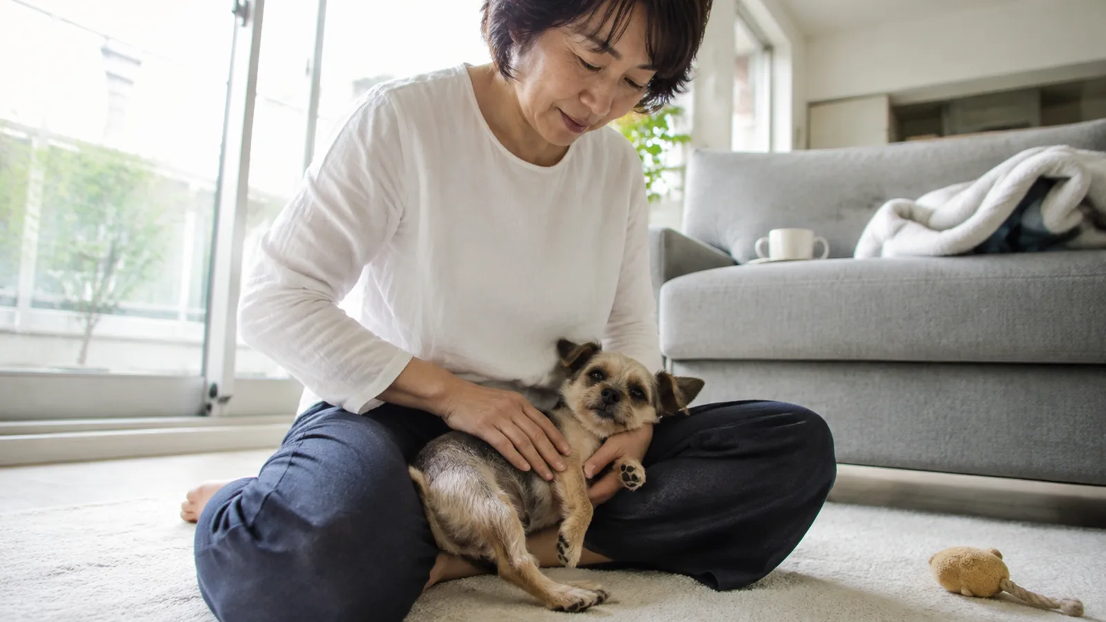 床に座った女性の脚に寄りかかる短い鼻づらの小さな犬の胸に、手のひらをそっと当てて様子を見ている