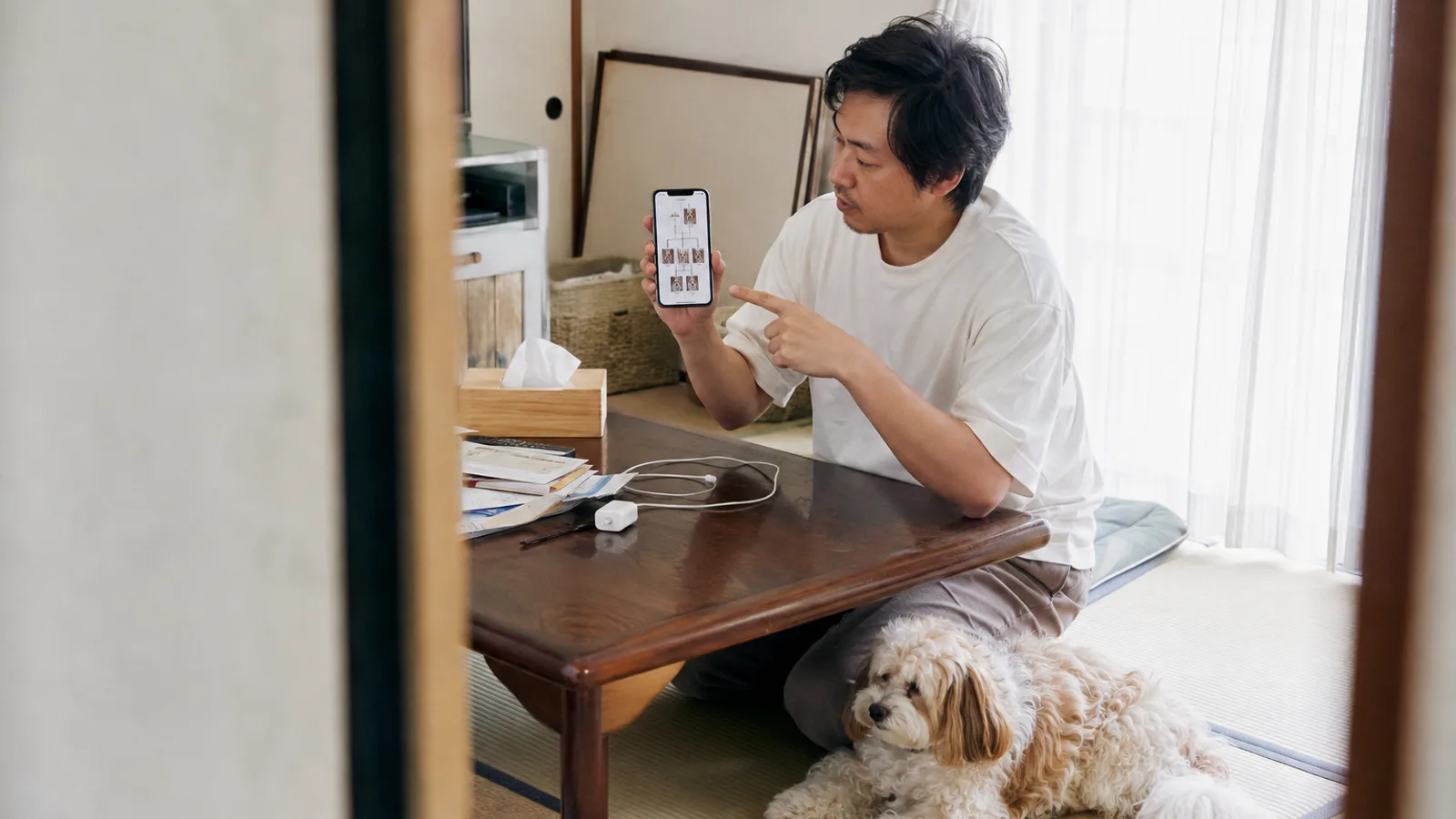 スマートフォンに映った犬の写真だけの家系図を指さす男性と、そばに伏せるクリームのパピプー