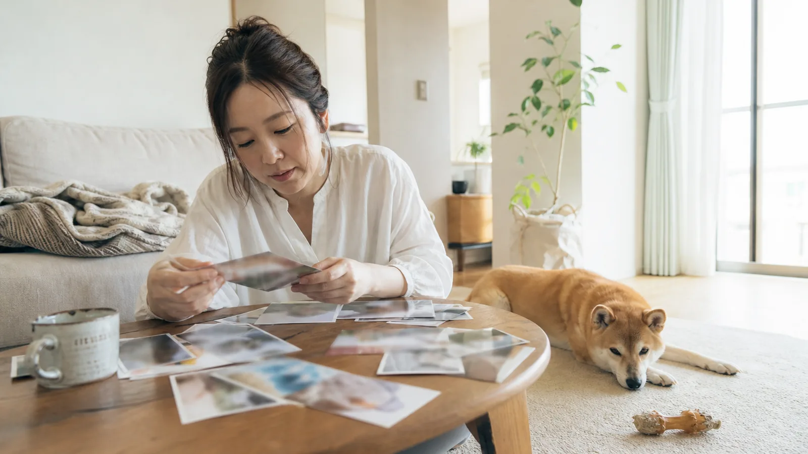 ローテーブルに広げたプリント写真を1枚ずつ見返す女性と、そばに伏せる赤毛の柴犬