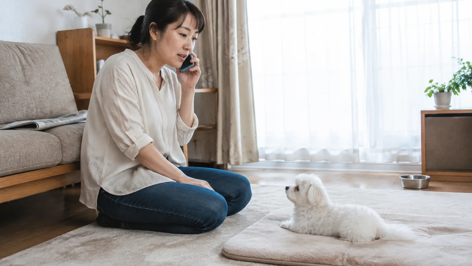 スマートフォンを耳に当てて話しながら、目の前に伏せる白いマルチーズの子犬を見ている女性