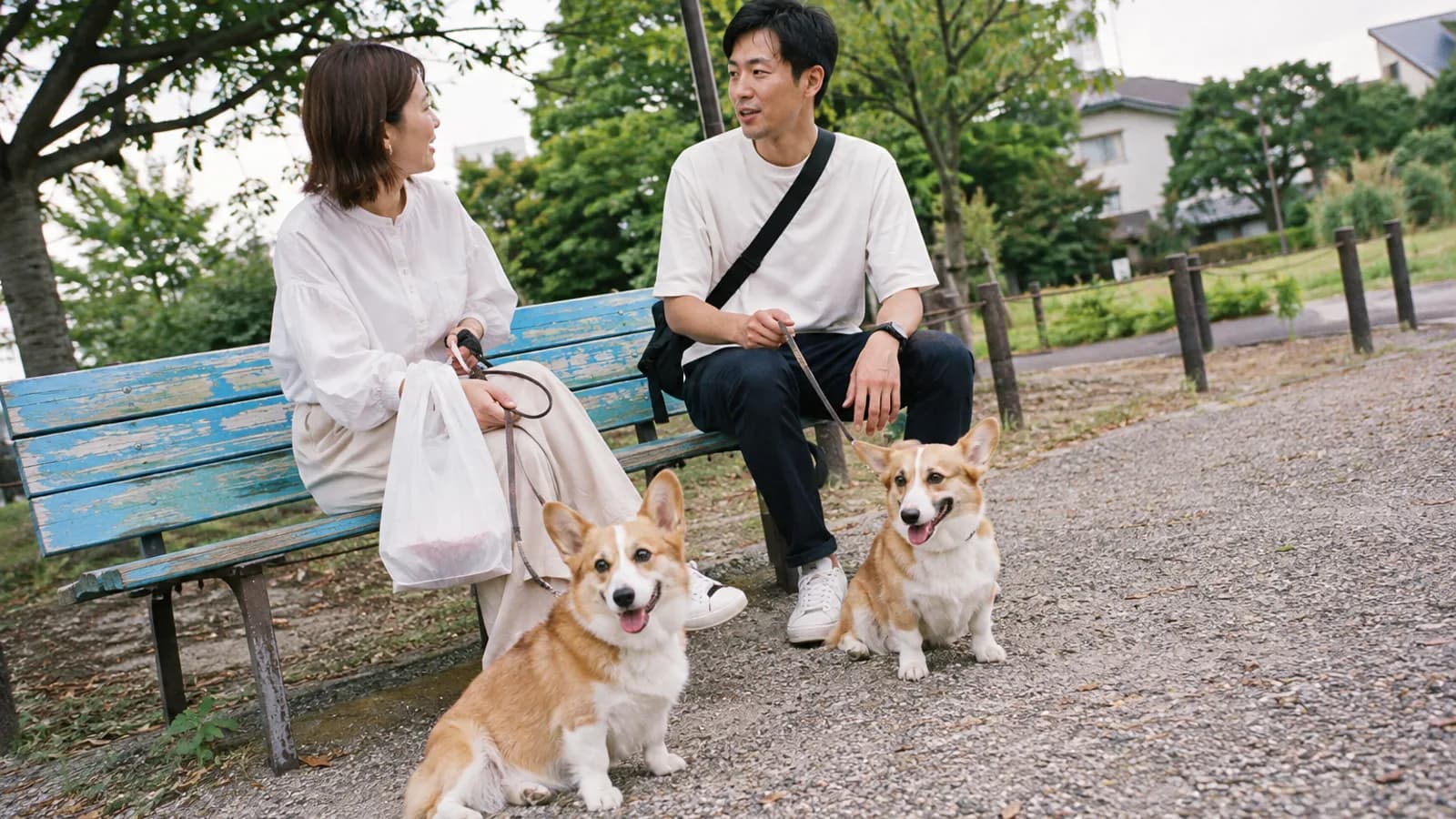 公園のベンチで話す2人と、それぞれの足元に座る赤と白のコーギー2頭。2人はそれぞれリードを持っている