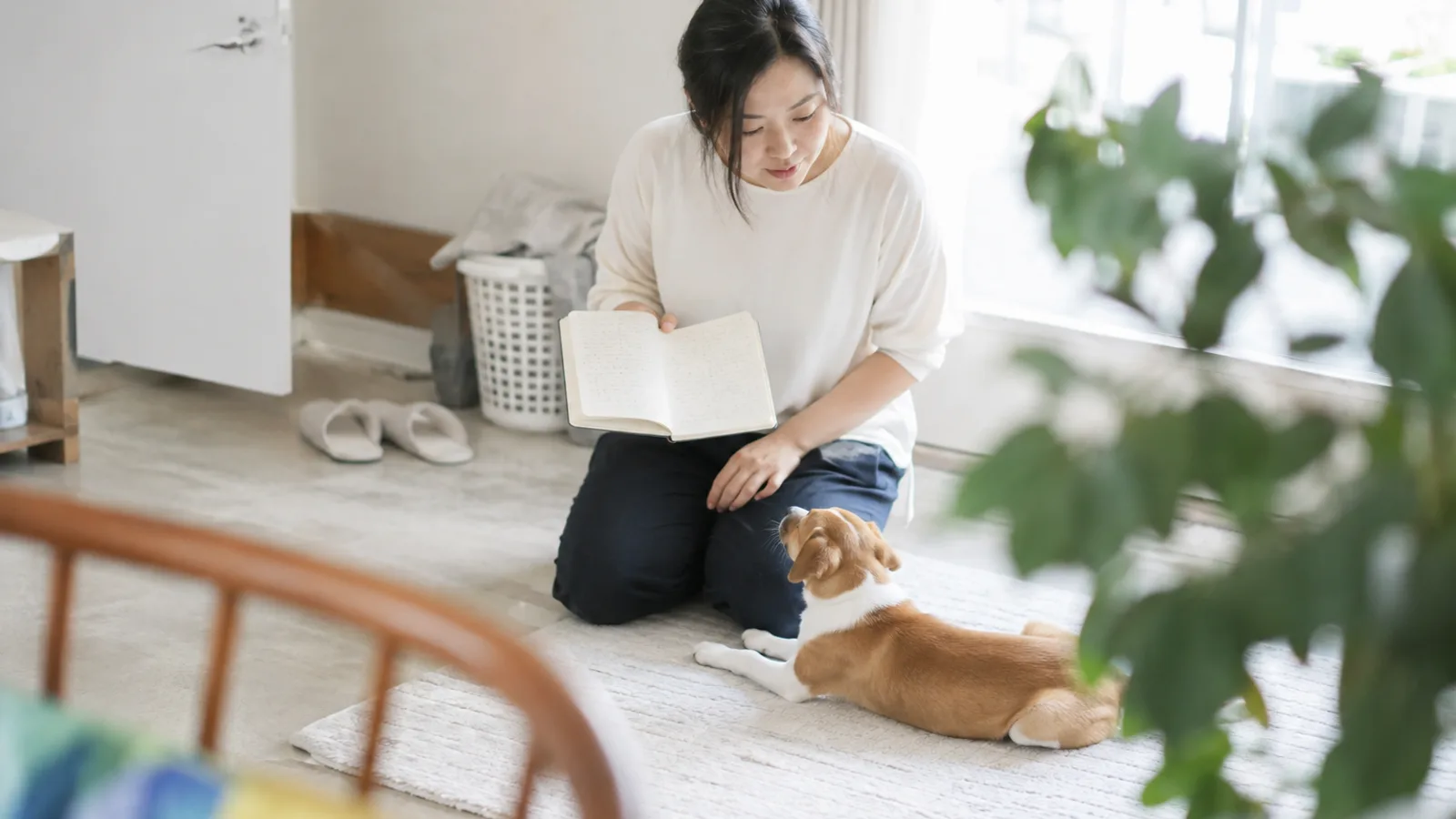 無地の手帳を手に持ち、目の前に伏せる短毛の子犬と見比べる女性