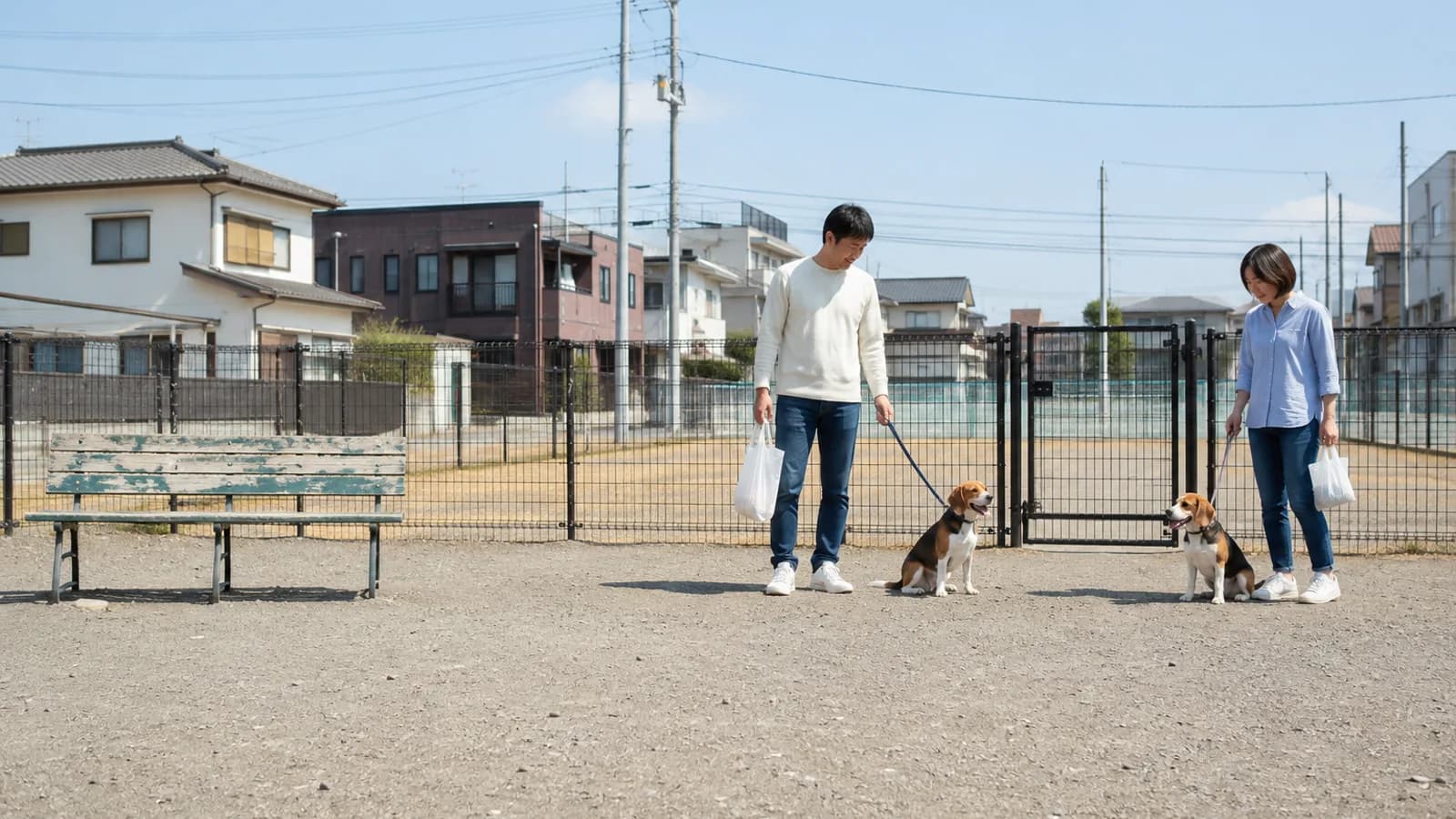 柵とゲートのあるドッグランで少し離れて座る2頭の三色のビーグルと、それぞれのリードを持ってそばに立つ男性と女性