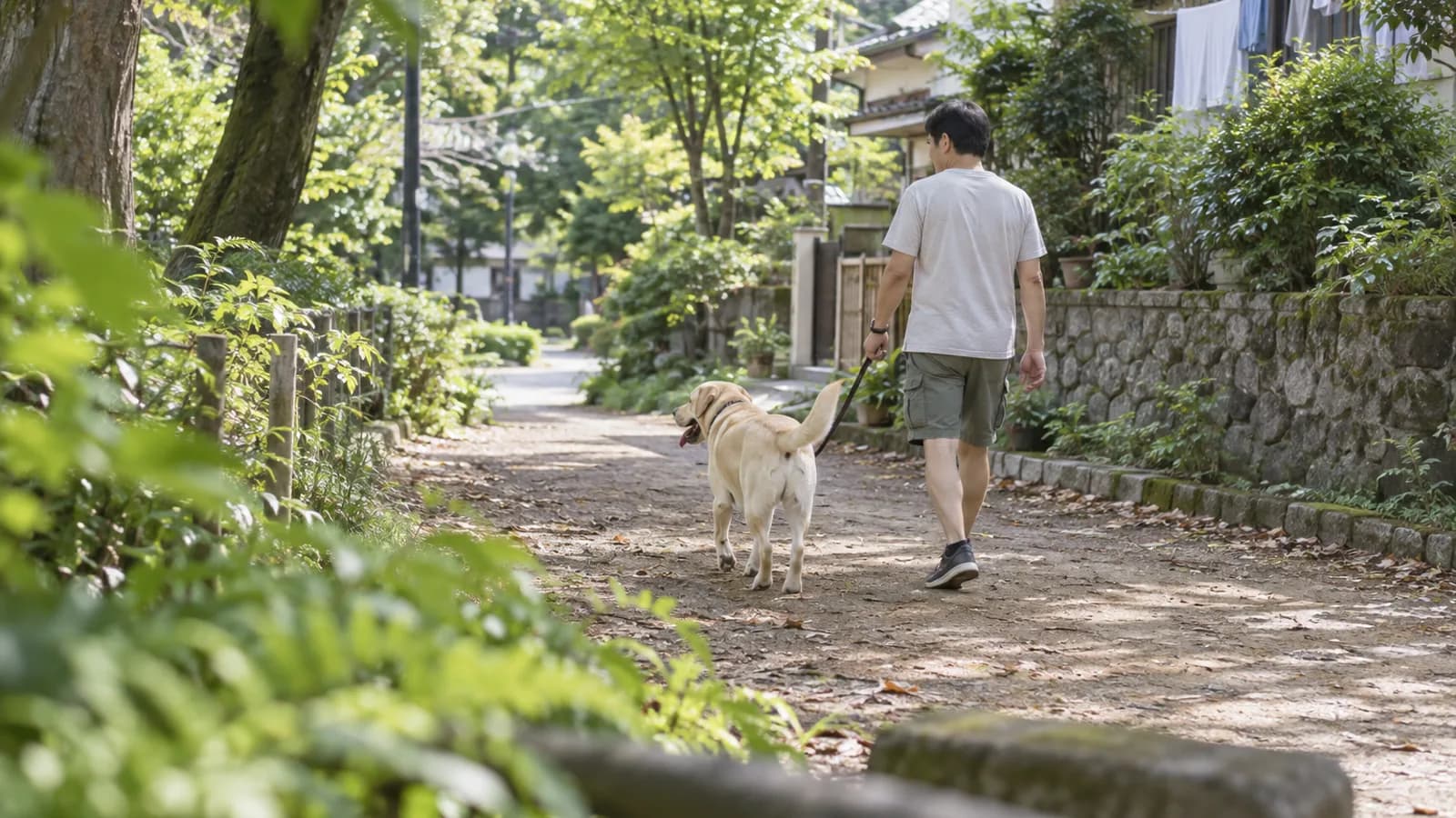 緑の木陰の土の道を、リードを持つ半袖姿の男性と並んで遠ざかるように歩くイエローラブラドール
