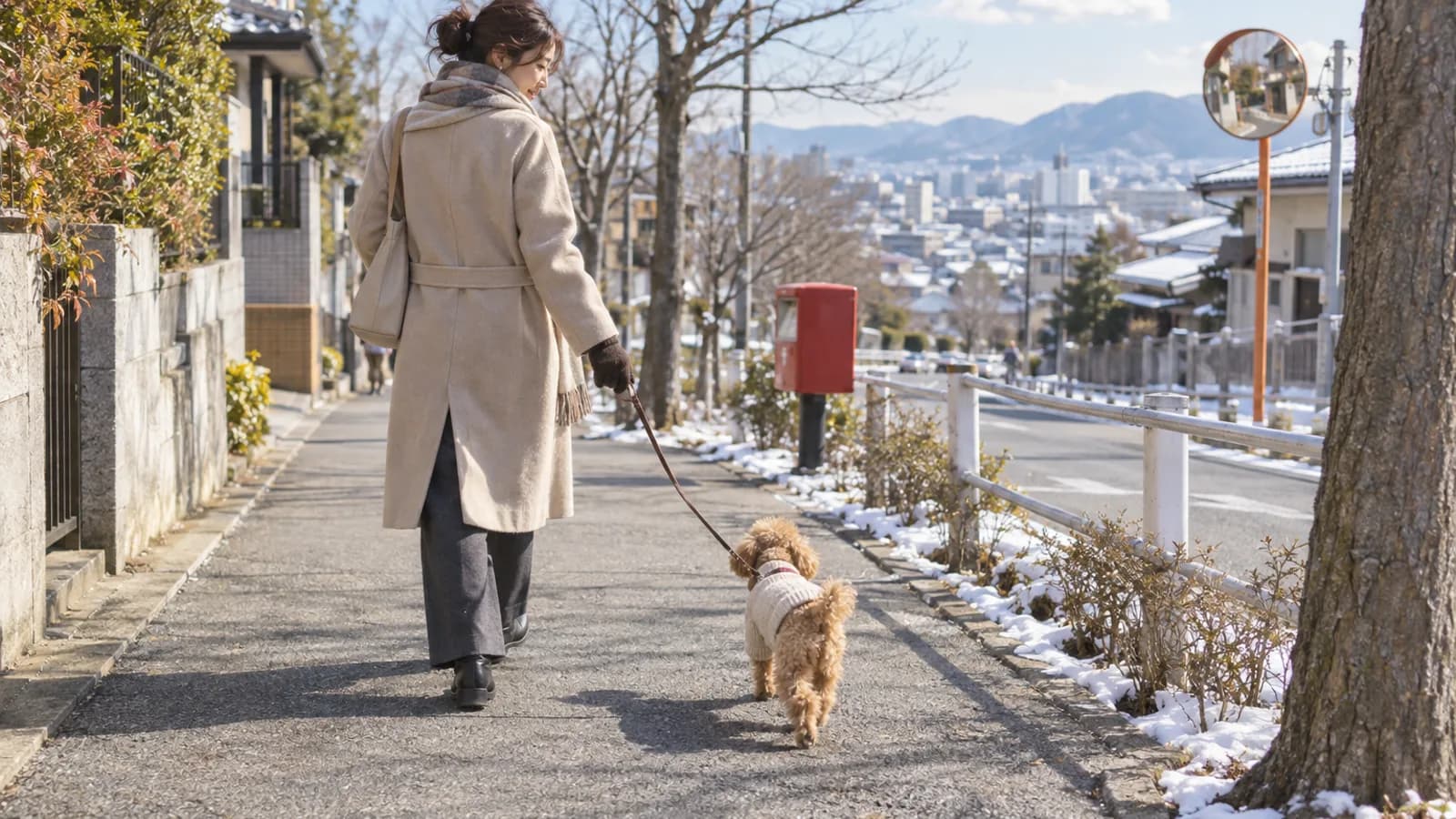 道ばたに雪が残る冬の歩道を、リードを持つコート姿の女性と歩く、ニットを着たトイプードル