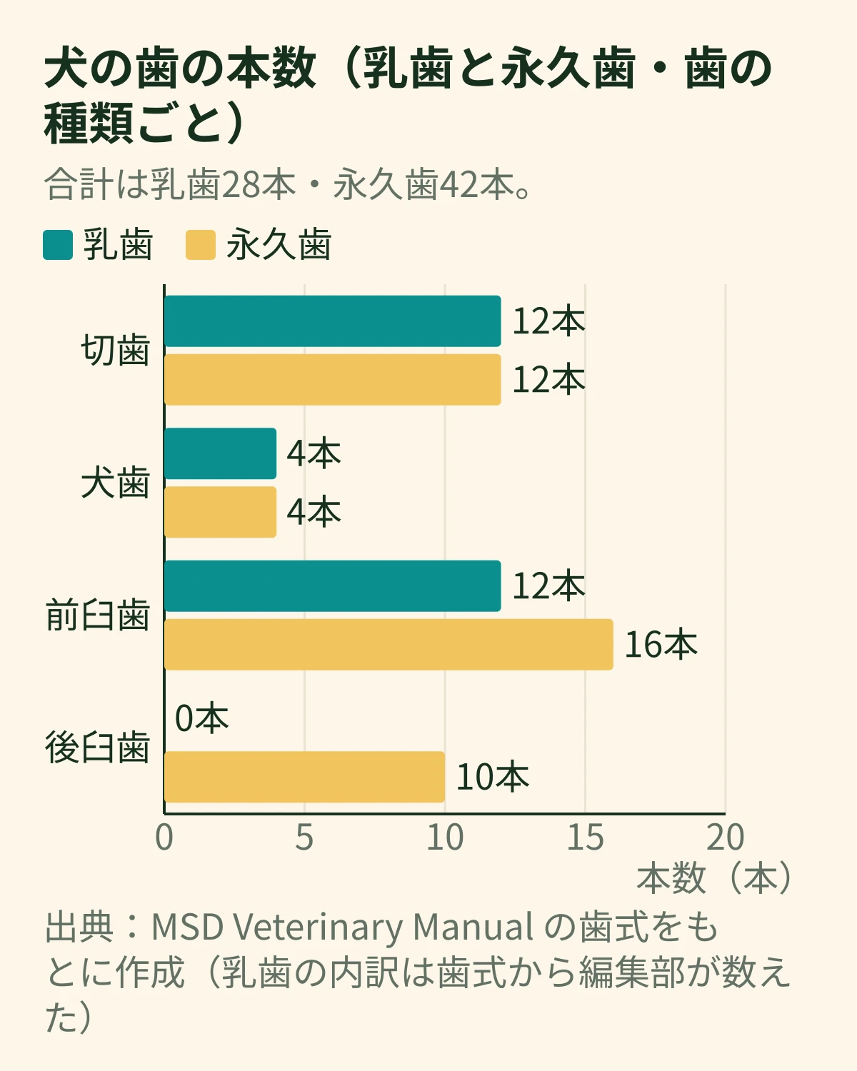 犬の歯の本数を乳歯と永久歯で比べた横棒グラフ。切歯は乳歯12本・永久歯12本、犬歯は4本・4本、前臼歯は12本・16本、後臼歯は0本・10本