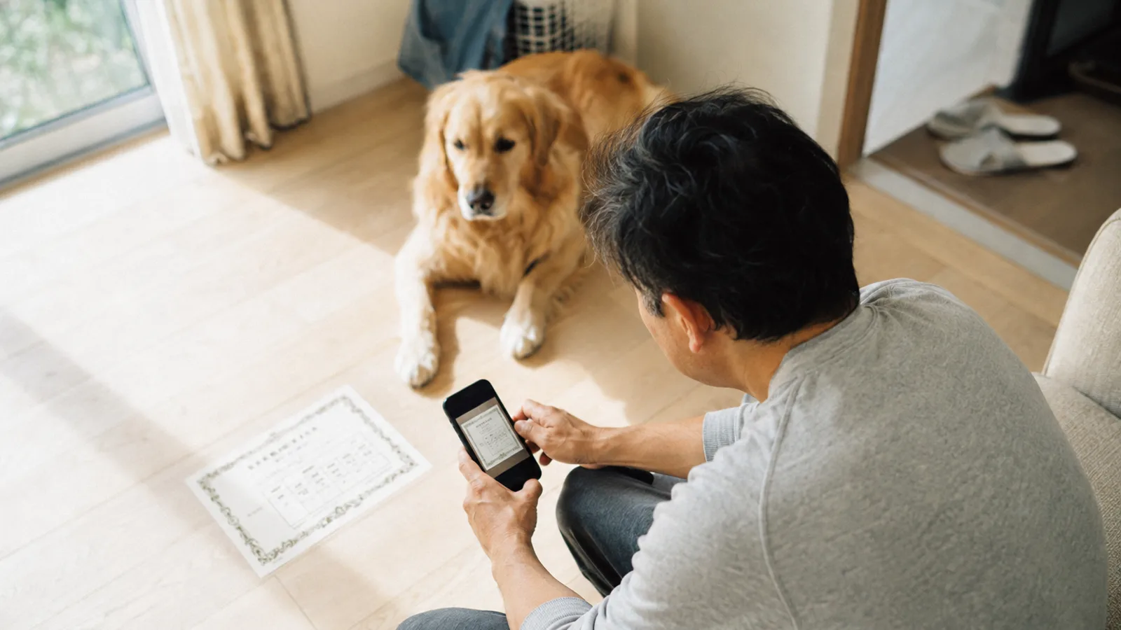 床に置いた血統書にスマートフォンのカメラを真上から向けて撮る男性と、隣に伏せるゴールデン・レトリーバー