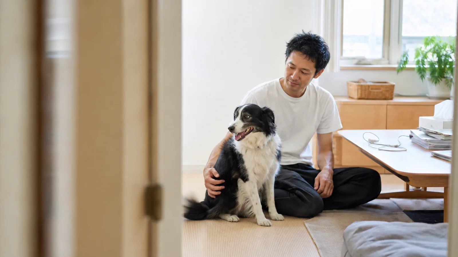 コリーに似た細長い鼻づらの黒と白の中型犬の肩に手を置いて隣に座る男性