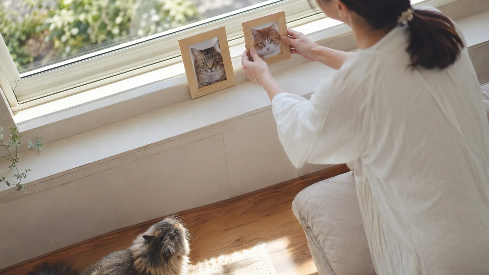 明るい窓辺の棚に、猫の顔の写真が入った写真立てをもう1つ並べて置く女性と、棚の下から見上げる長毛の猫