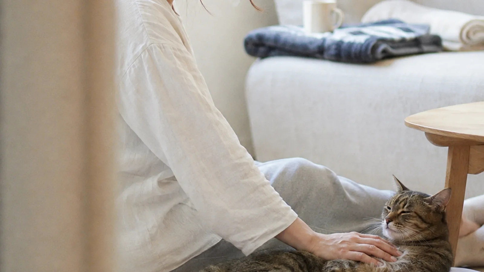 床に座った人が、そばに寝そべるキジトラの猫の体に手のひらをそっと当てている。奥のソファにマグと毛布