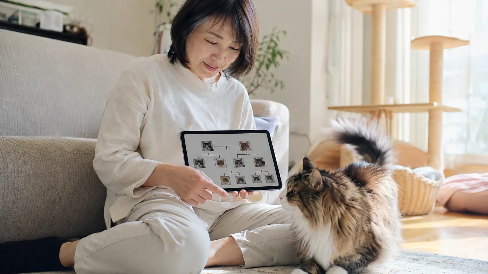 タブレットに映った猫の写真だけの家系図を指さす女性と、すぐ隣に座る長毛の猫