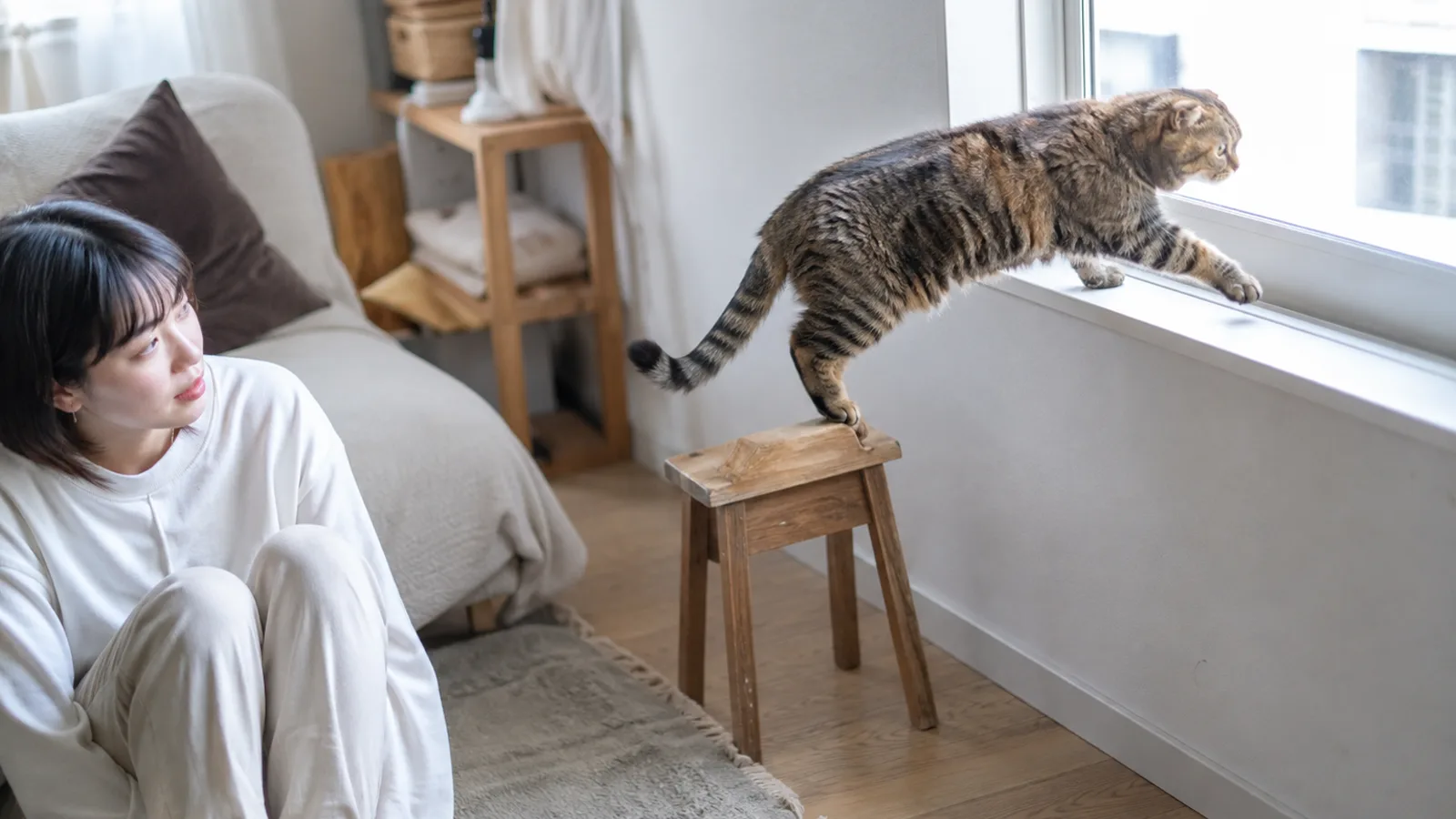 低い木のスツールを踏み台にして出窓の窓台に上がる耳の折れたキジトラの猫と、床で見守る女性