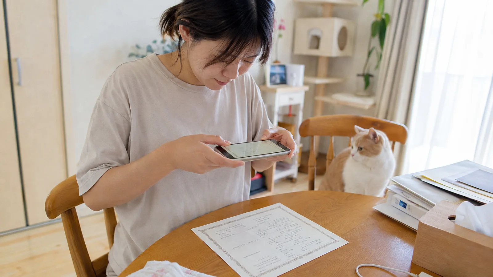 テーブルに平らに置いた装飾枠の架空の血統書を、スマホを構えて撮影している女性。画面にも同じ紙が映る。奥の椅子にクリーム&ホワイトの猫