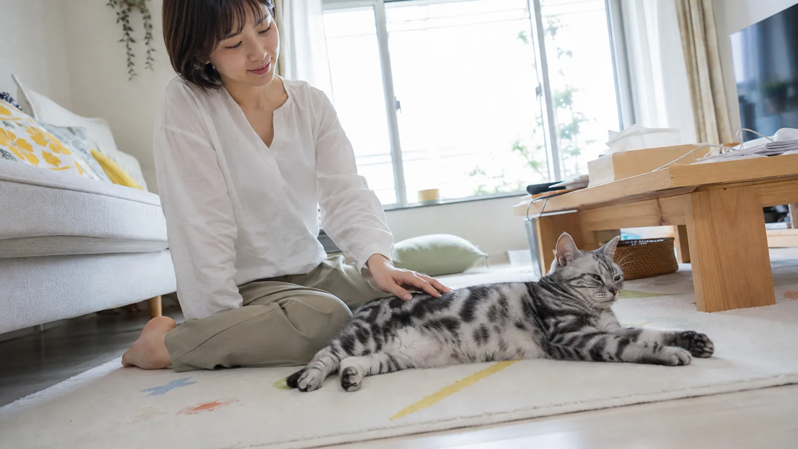 ラグの上で体を横たえる、銀灰色の地に黒い渦巻き模様がある短毛の猫と、その背中に手を添えて床に座る女性