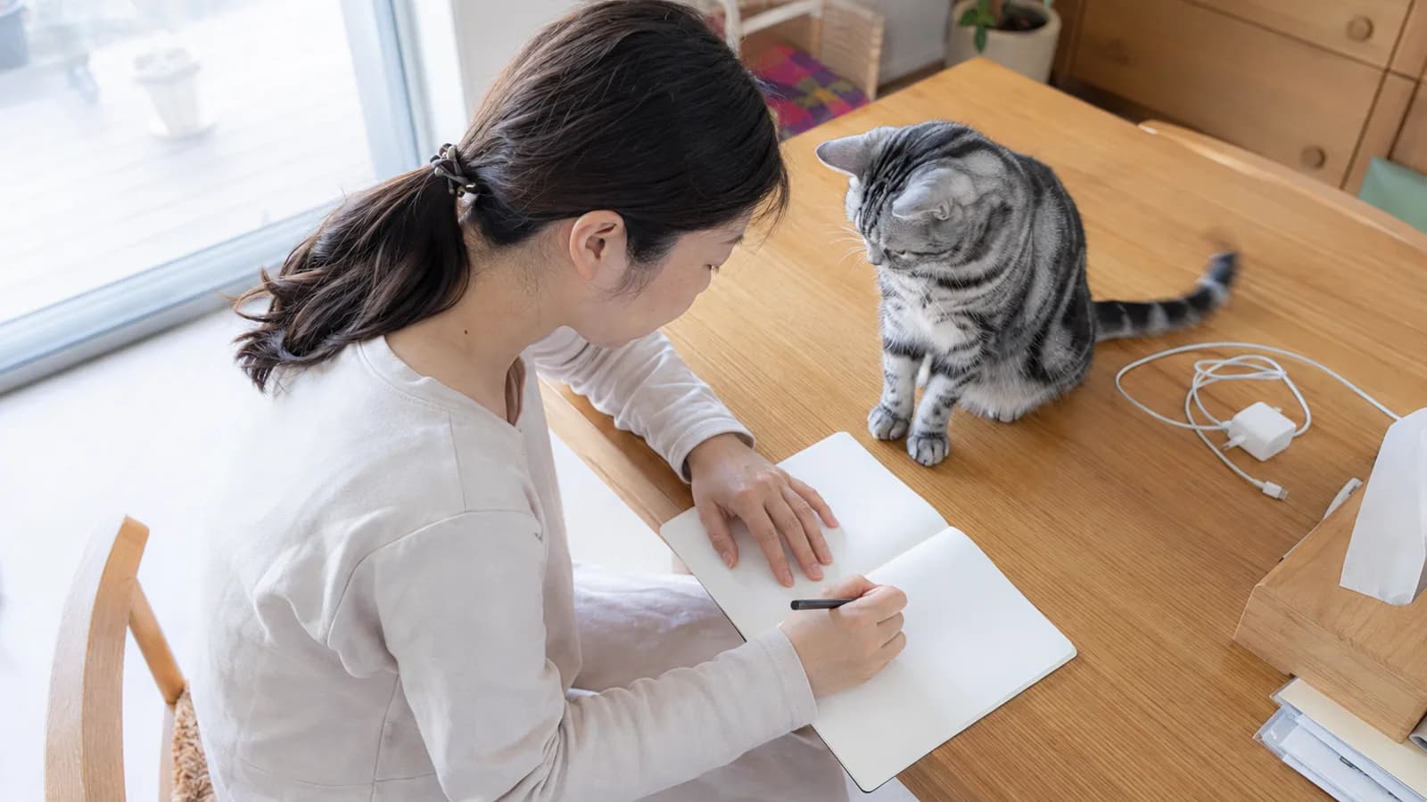 ダイニングテーブルで白紙のノートに書く女性と、その手元を見てテーブルに座る銀灰色に黒い渦巻き模様の猫