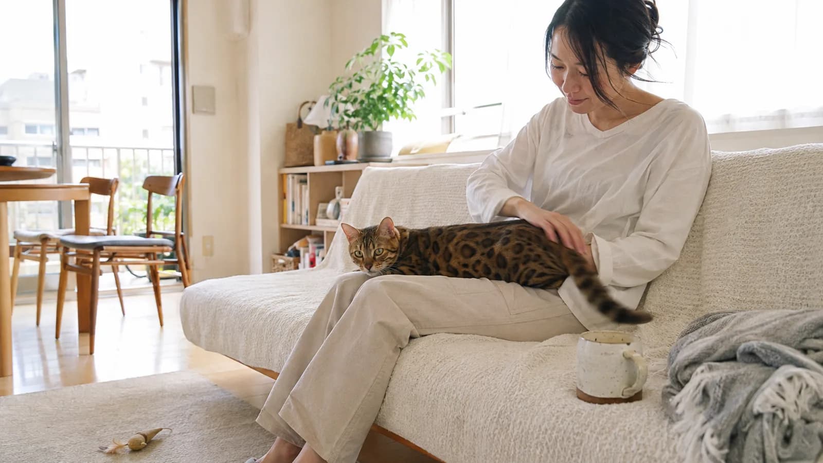 ソファでひざにのせたベンガルの背中に手のひらを当てて、体のようすを確かめる女性