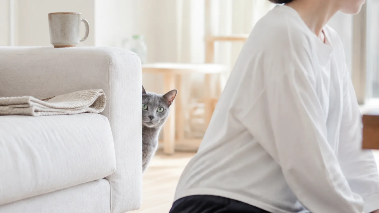 ソファの肘掛けの陰から顔と肩をのぞかせるロシアンブルーと、手前に背を向けて床に座る女性