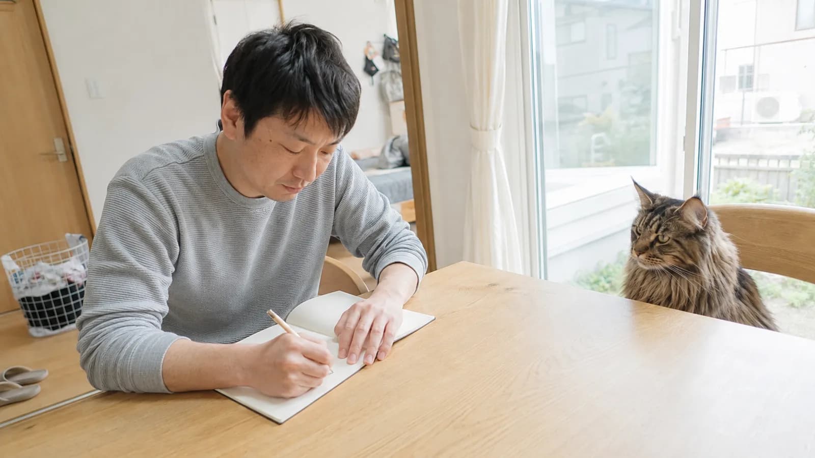 ダイニングテーブルで白紙のノートに鉛筆で書く男性と、向かいの椅子に座って見ているブラウンタビーの長毛猫