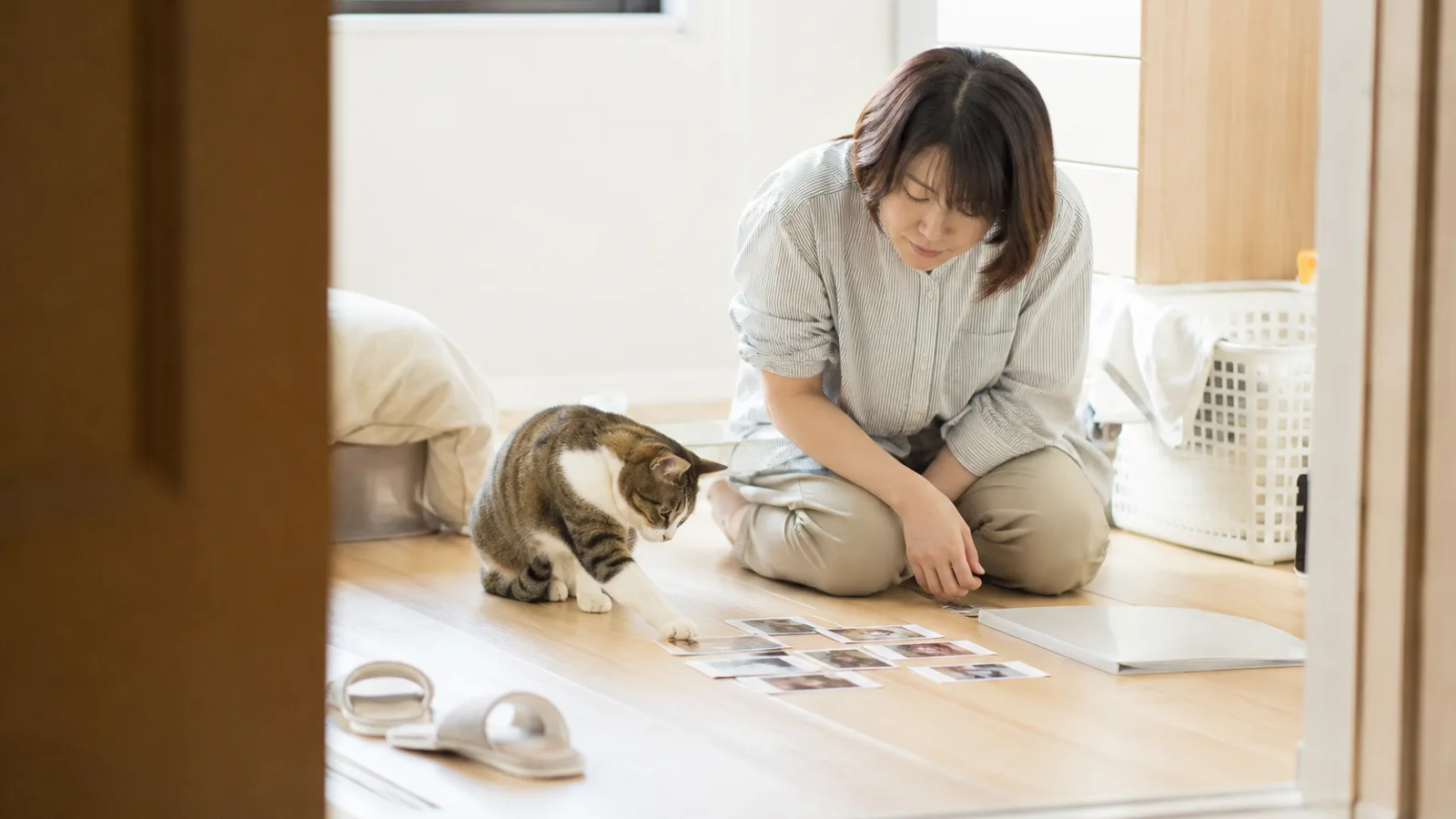 床に並べた小さなプリント写真と無地のクリアファイルを見る女性と、写真に前足を伸ばすキジトラ白の猫
