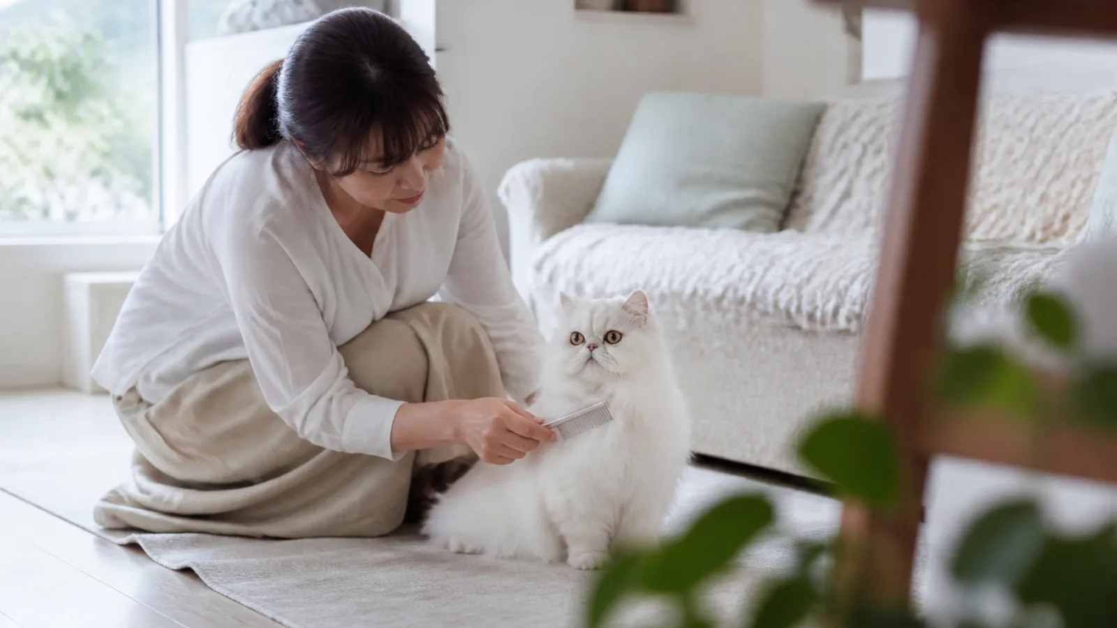 床に座って細かい歯の金属のコームで、白い長毛の猫の首元から胸の毛をとかす女性