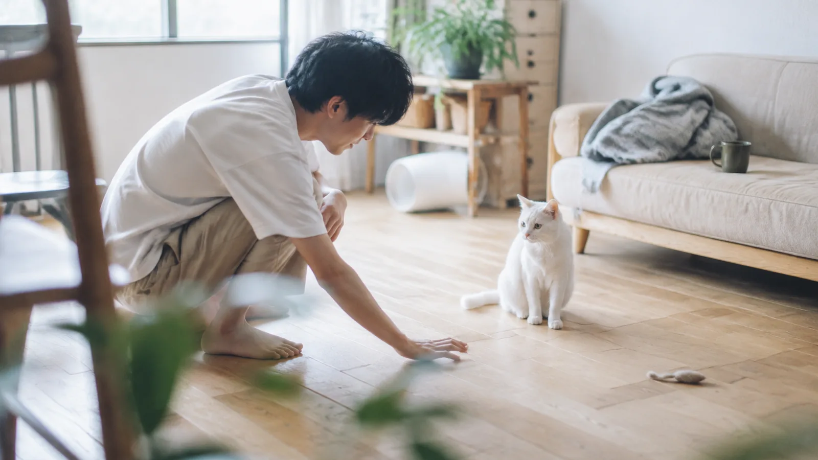 床を手のひらで軽くたたく男性と、そちらを見る白い猫