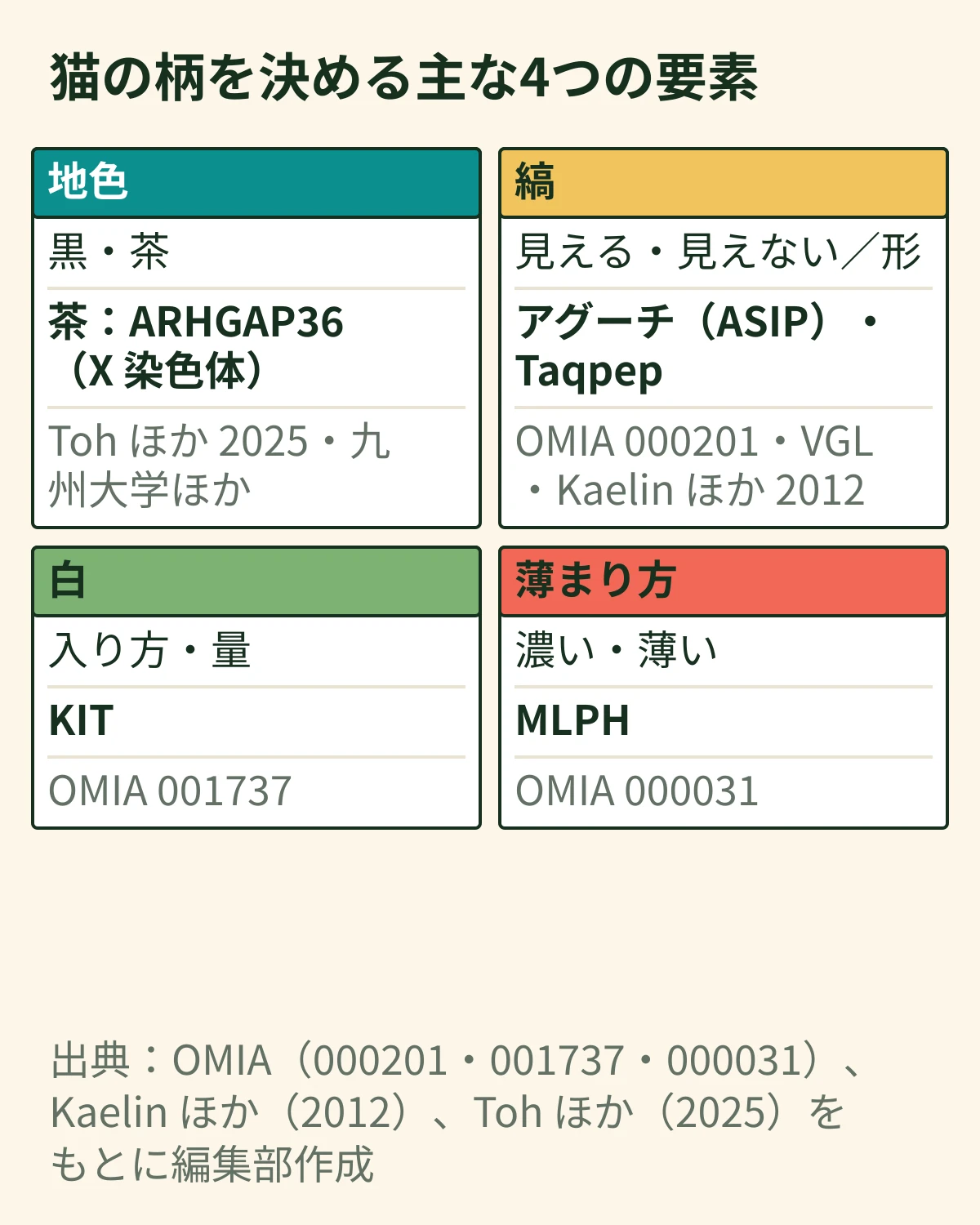 猫の柄を決める主な4つの要素を4つの箱で示した図。地色(黒・茶)、縞(見えるか見えないか・形)、白(入り方・量)、薄まり方(濃い・薄い)