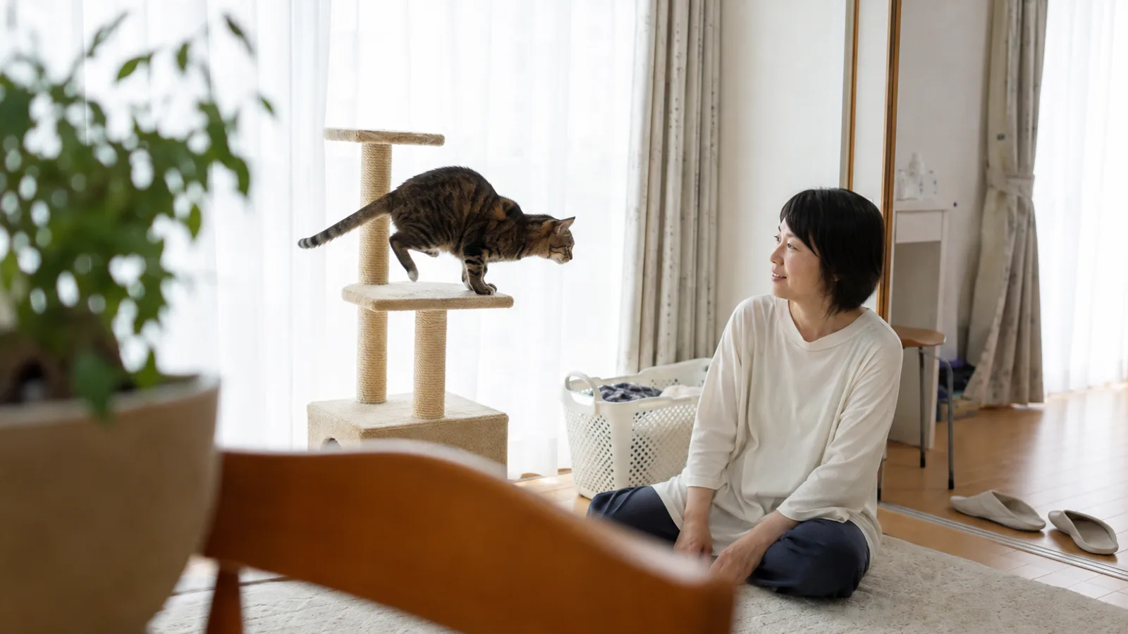 キャットタワーの段から段へ軽々と跳び移るキジトラの猫と、床に座って見ている女性