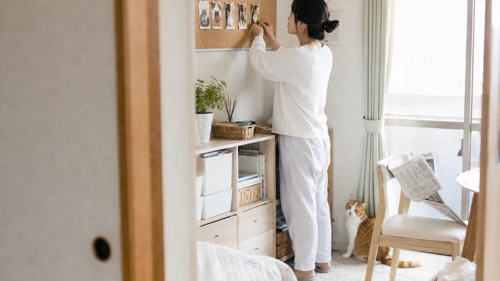 壁のコルクボードに猫の写真を一列に留めている女性と、部屋のすみに座る茶白の猫